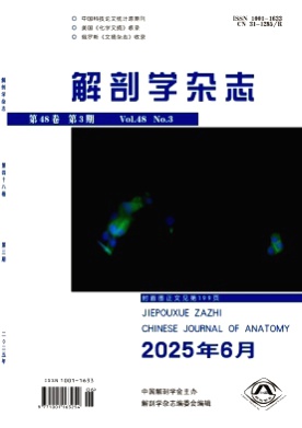 解剖学杂志杂志